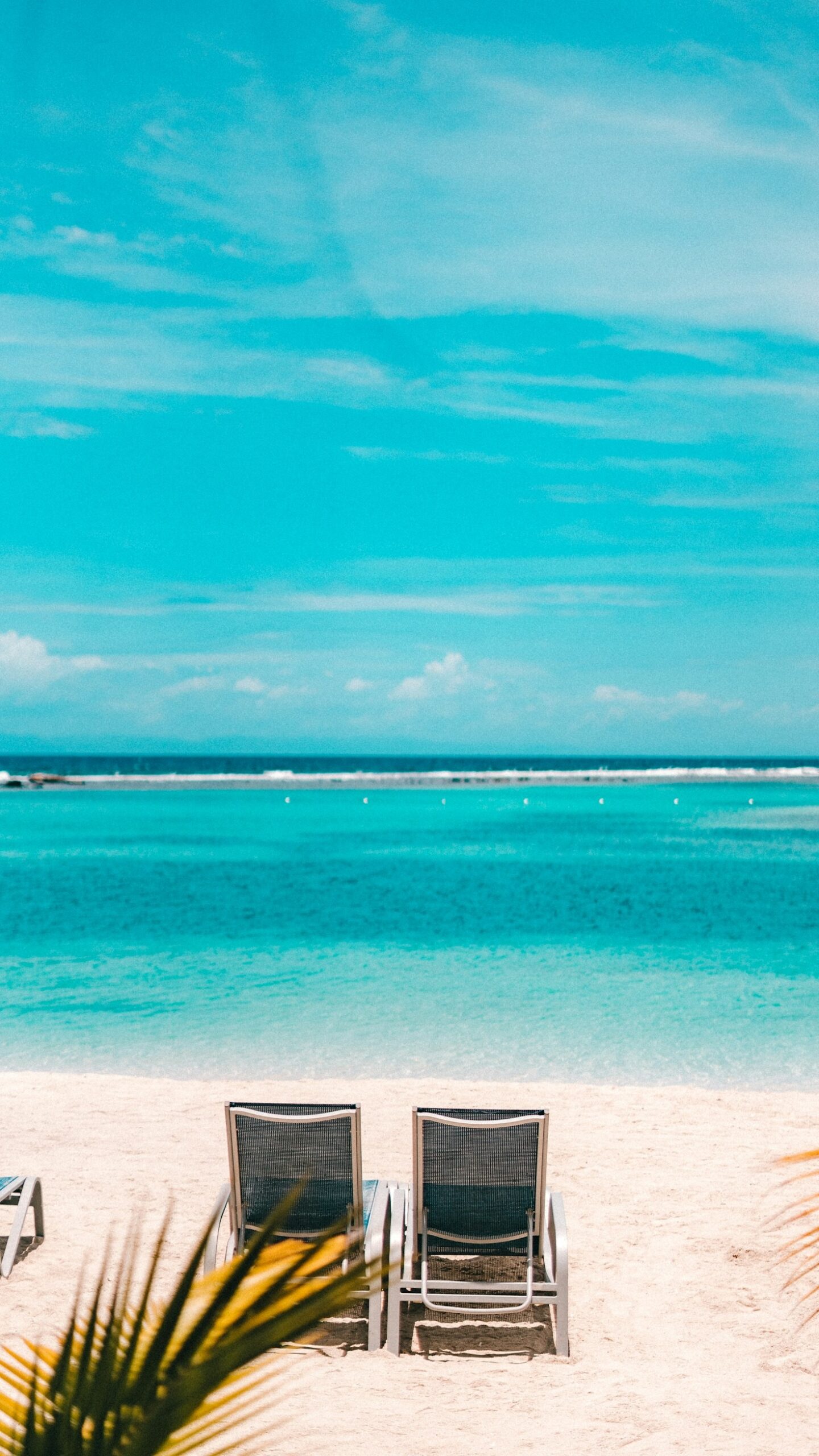 Top Cruise Destinations You Can’t Miss
