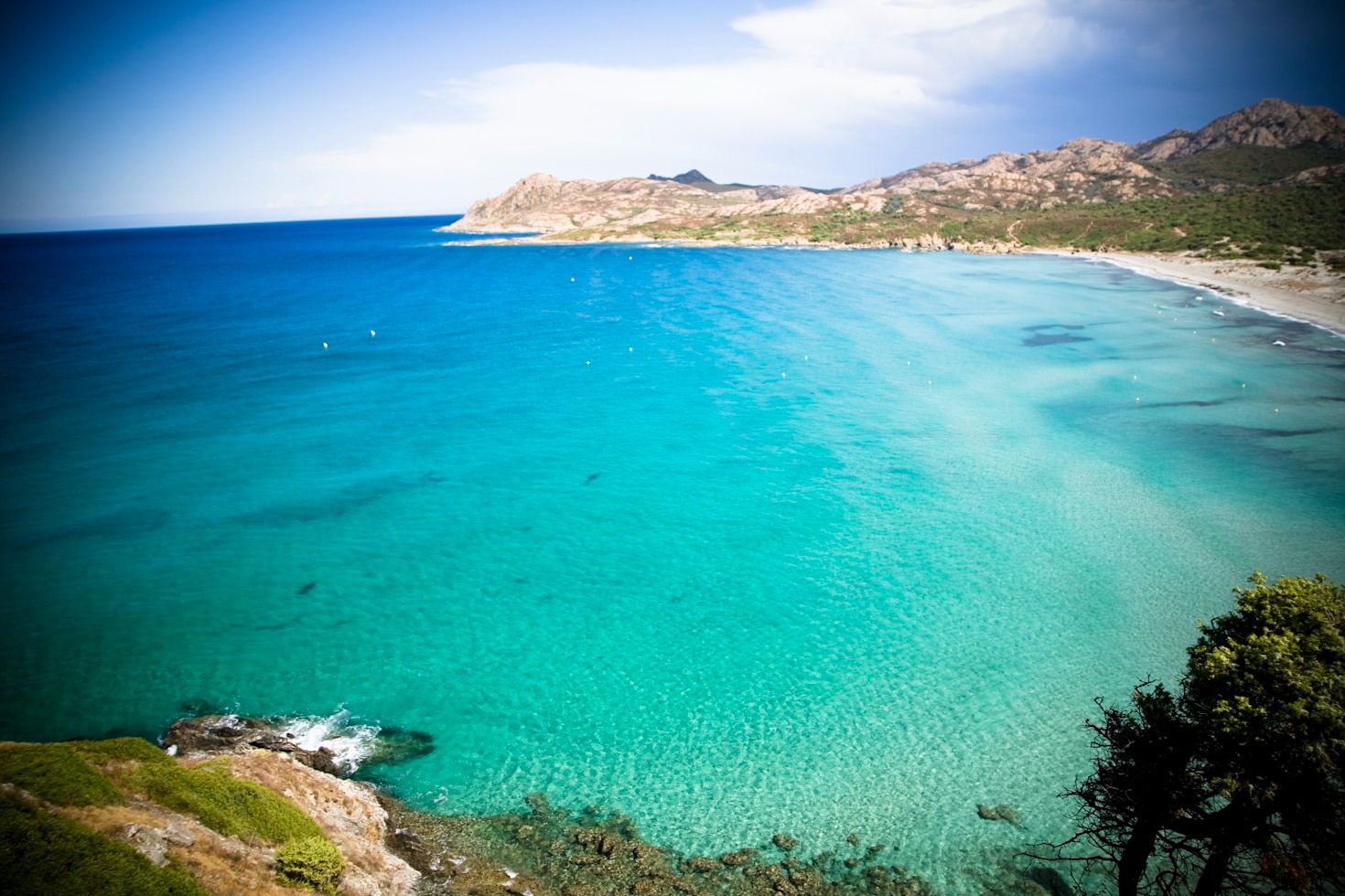How to Maximize Savings on Travel Bookings
